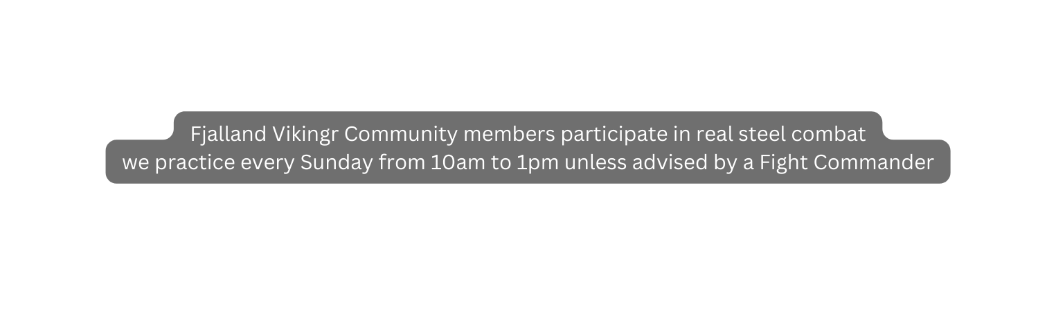 Fjalland Vikingr Community members participate in real steel combat we practice every Sunday from 10am to 1pm unless advised by a Fight Commander